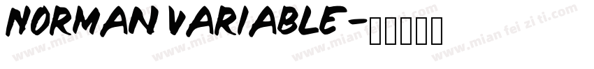 Norman variable字体转换